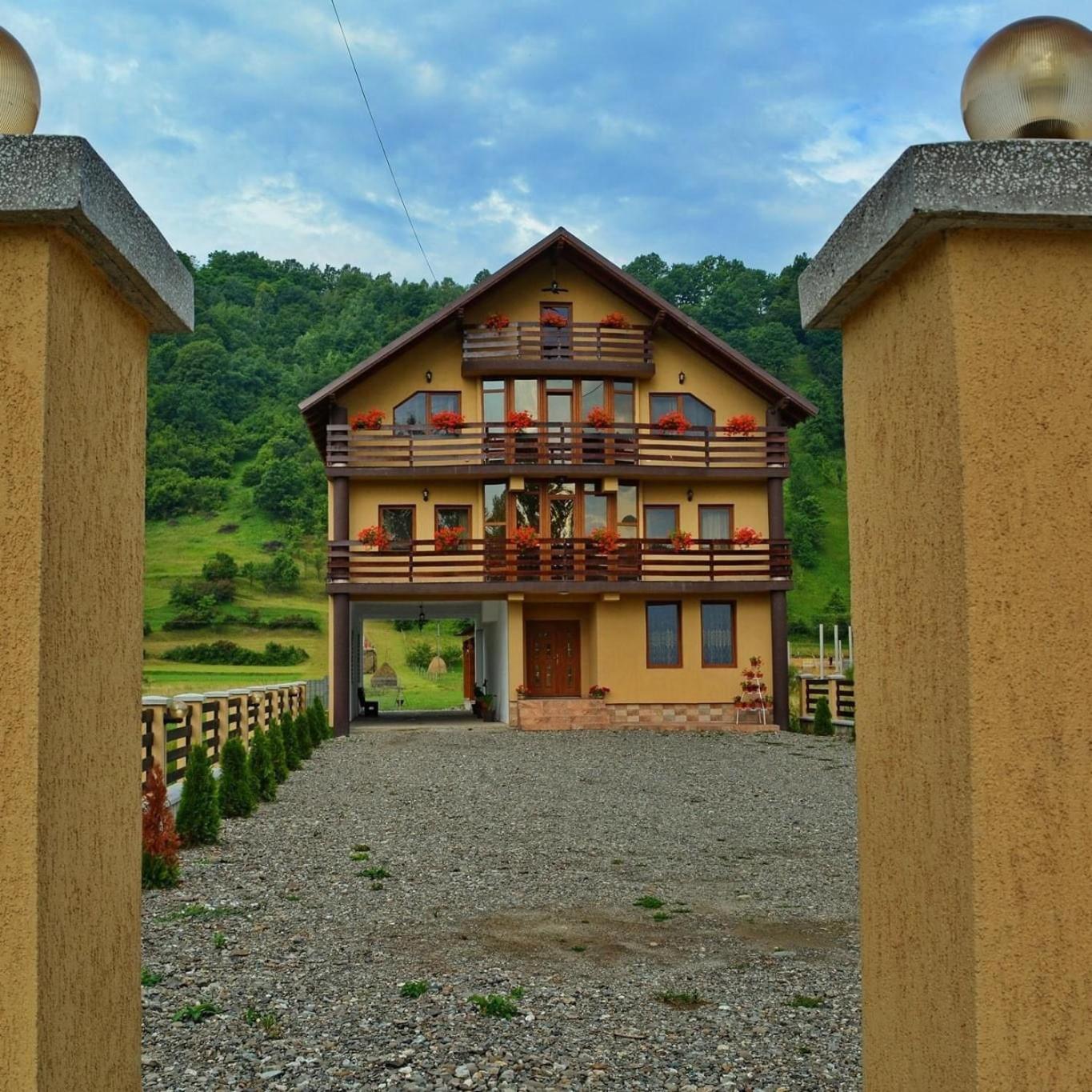 Casa Vadeanu Hotel Sighetu Marmatiei Luaran gambar