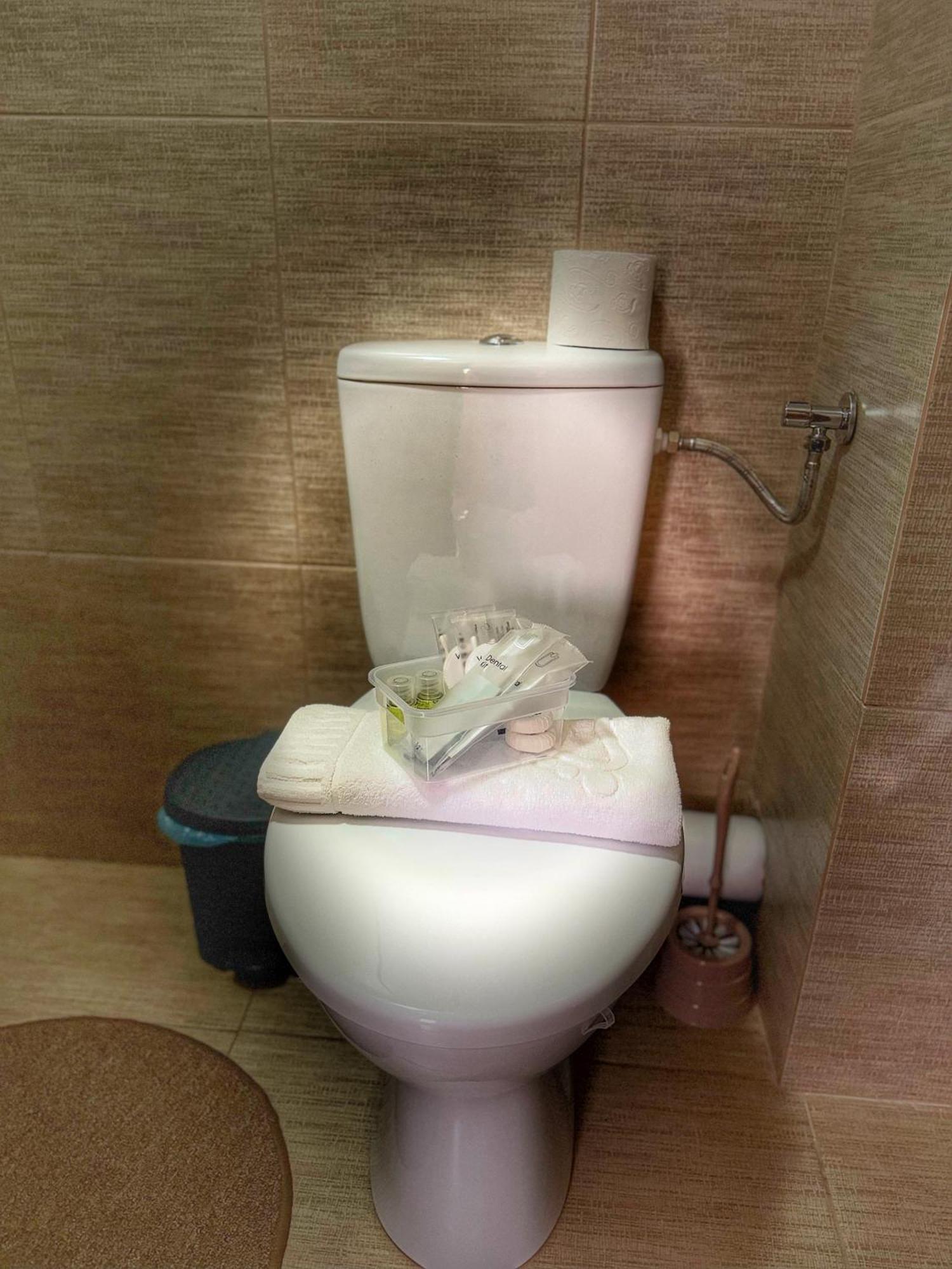 Casa Vadeanu Hotel Sighetu Marmatiei Luaran gambar
